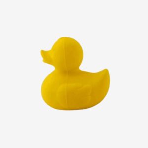 oli and carol yellow duck