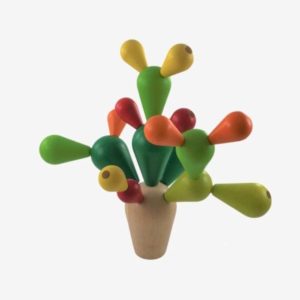 plan toys balancing cactus